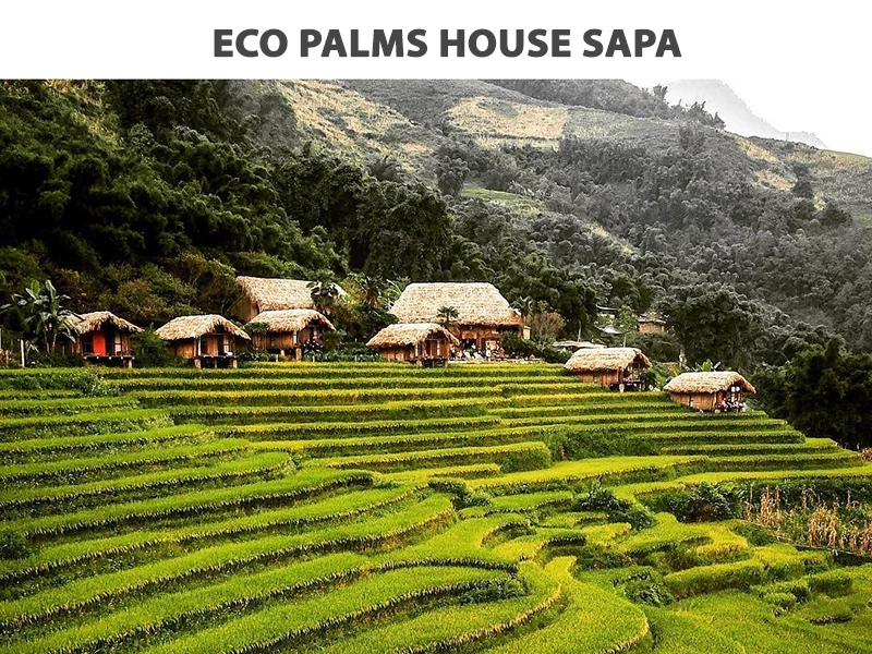 ECO PALMS HOUSE LÀNG LAO CHẢI SAPA